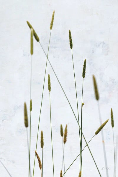 Deborah Revell: Timothy Grass by Deborah Revell