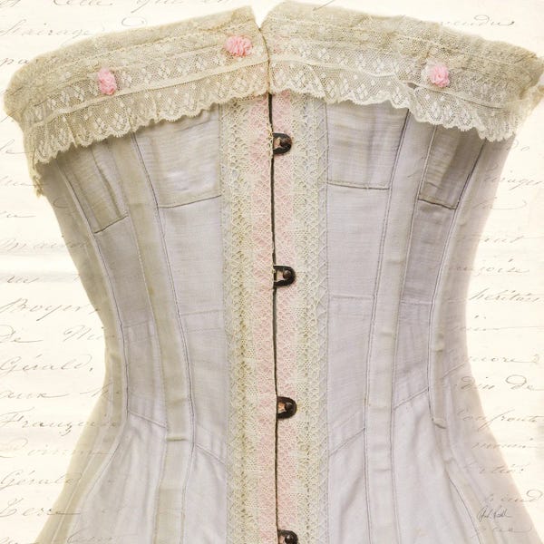 Deborah Revell: Corset V by Deborah Revell