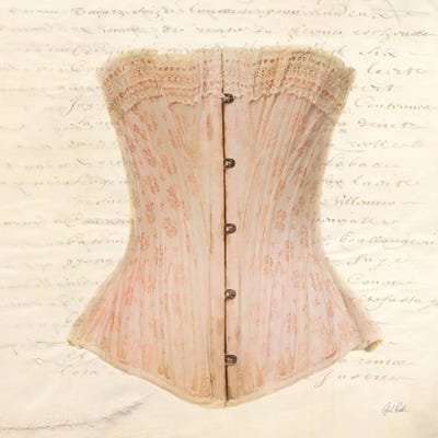 Corset VI by Deborah Revell canvas print