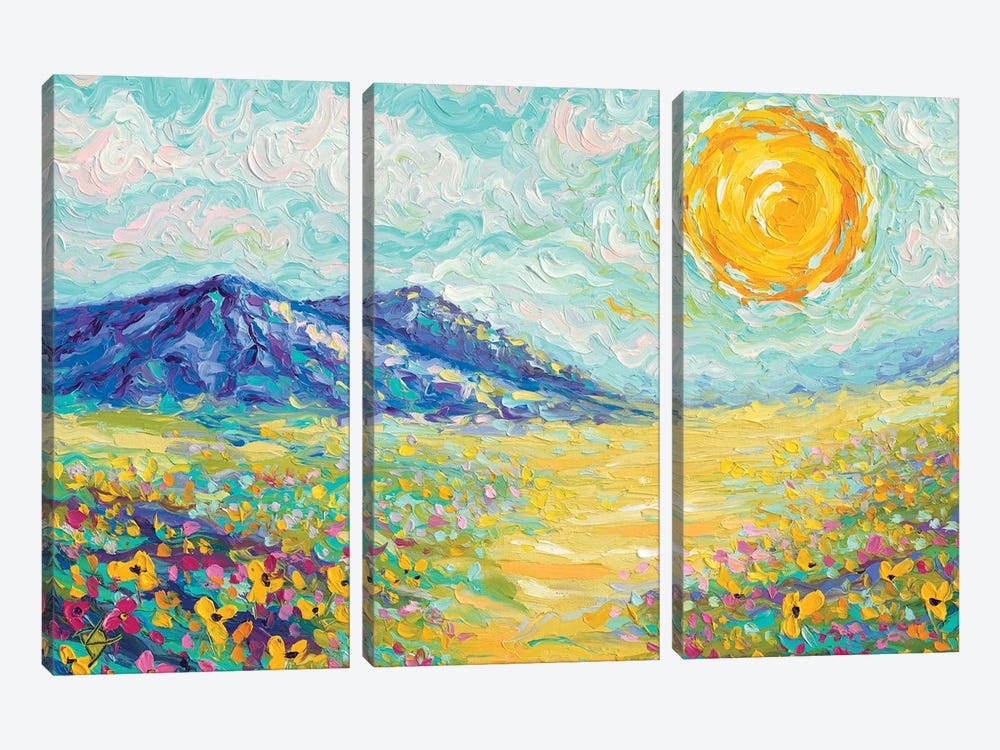 Follow The Sun by Dorota Kosi 3-piece Canvas Art Print