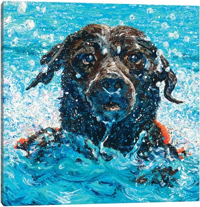 Summer Splash Canvas Art Print - Swimming Art