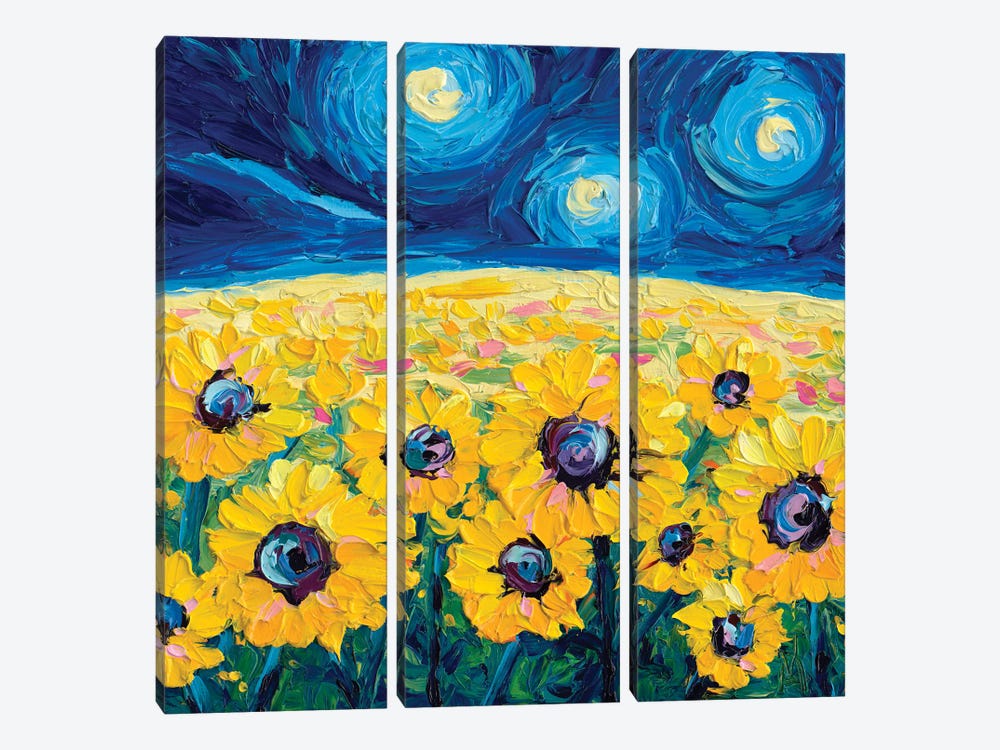 Sunflower Nocturne by Dorota Kosi 3-piece Art Print
