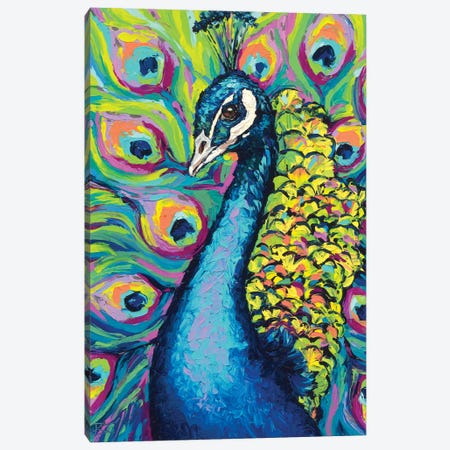 Peacock Magic Canvas Print / Canvas Art by Jane Small - Fine Art
