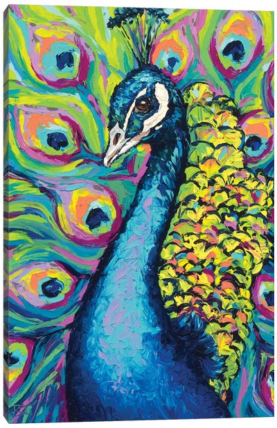 The Poser Canvas Art Print - Peacock Art