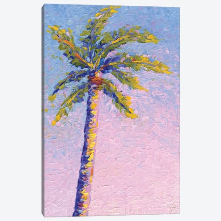 Palm Blush Canvas Print #DRT33} by Dorota Kosi Canvas Wall Art