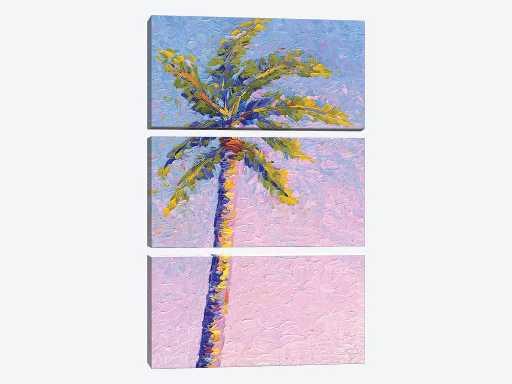 Palm Blush by Dorota Kosi 3-piece Canvas Print