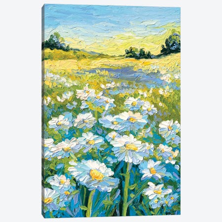 Summer Fields Canvas Print #DRT37} by Dorota Kosi Canvas Art Print