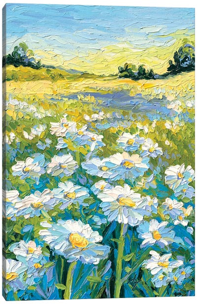 Summer Fields Canvas Art Print - Daisy Art