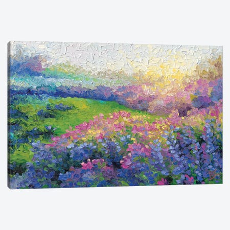 Sunburnt Lavender Canvas Print #DRT39} by Dorota Kosi Canvas Artwork