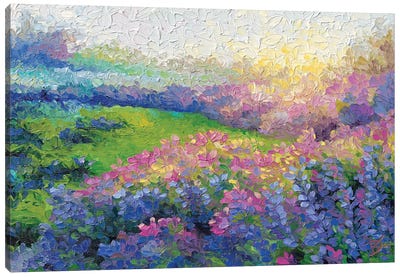 Sunburnt Lavender Canvas Art Print - Herb Art