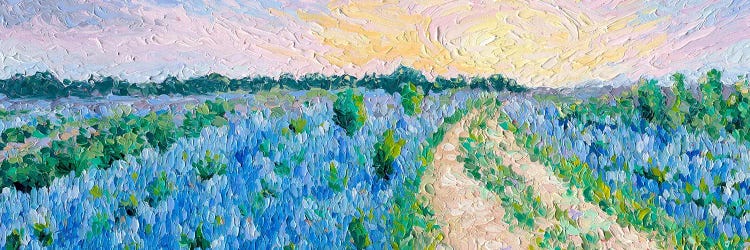 Bluebonnet Fields by Dorota Kosi wall art