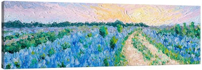 Bluebonnet Fields Canvas Art Print - Garden & Floral Landscape Art