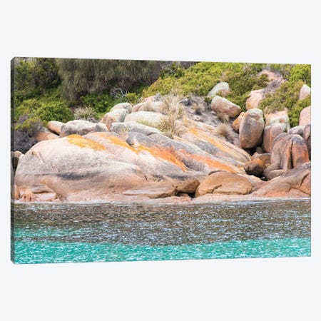 Australia, Tasmania, Freycinet National Park. Schouten Island. Crockett's Bay Canvas Print #DRU3} by Trish Drury Canvas Artwork