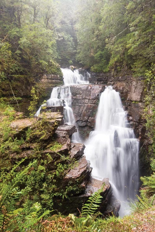 Australia, Tasmania. Cradle Mountain-Lake St. Clair NP, Overland Track. D'alton Falls on side trail