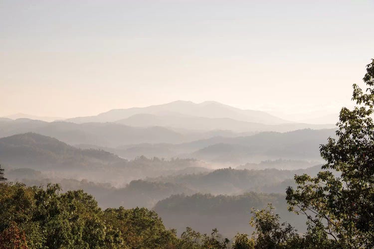 USA, Tennessee. View to Smoky Mountains from Foothills Parkway. Fog in valleys early morning