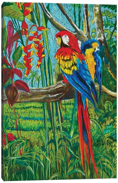Good Morning Canvas Art Print - Parrot Art