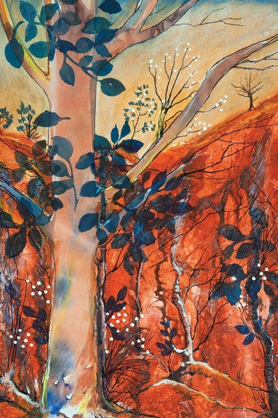 Landscape Broken Hill by Helen Dubrovich canvas print