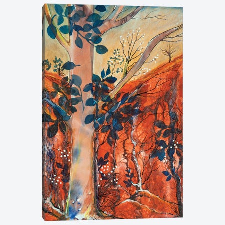 Landscape Broken Hill Canvas Print #DRV15} by Helen Dubrovich Canvas Art Print