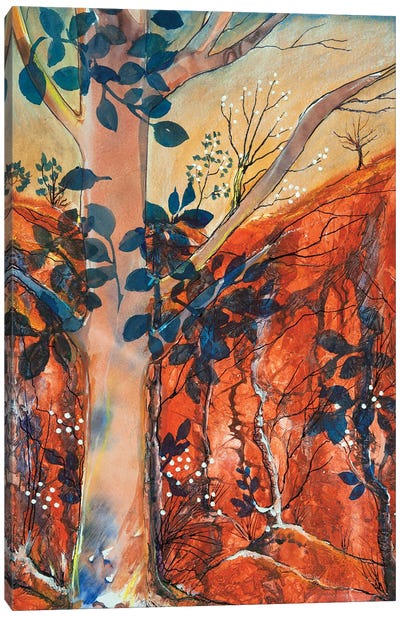 Landscape Broken Hill Canvas Art Print - Helen Dubrovich