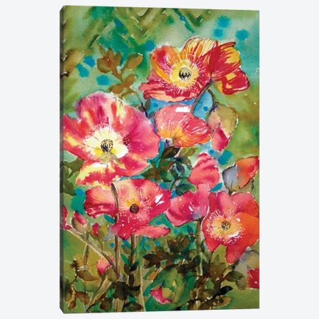 Poppies Canvas Print #DRV29} by Helen Dubrovich Art Print