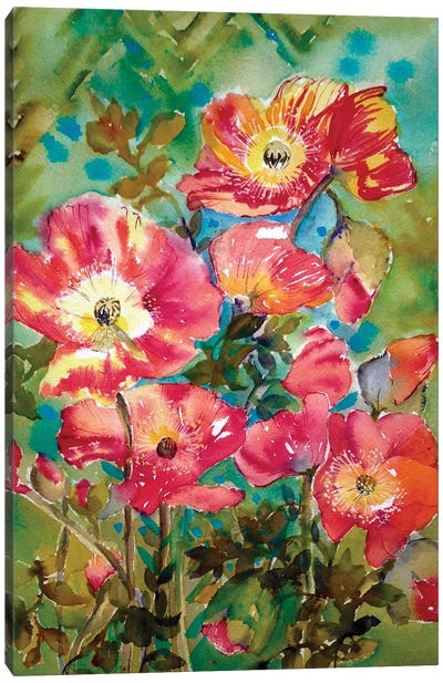 Poppies Canvas Art Print - Helen Dubrovich