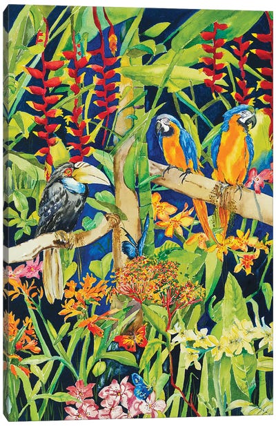 Tropical Night Canvas Art Print - Parrot Art
