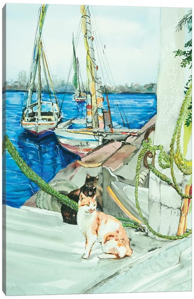 Cats With Feluccas Canvas Art Print - Helen Dubrovich