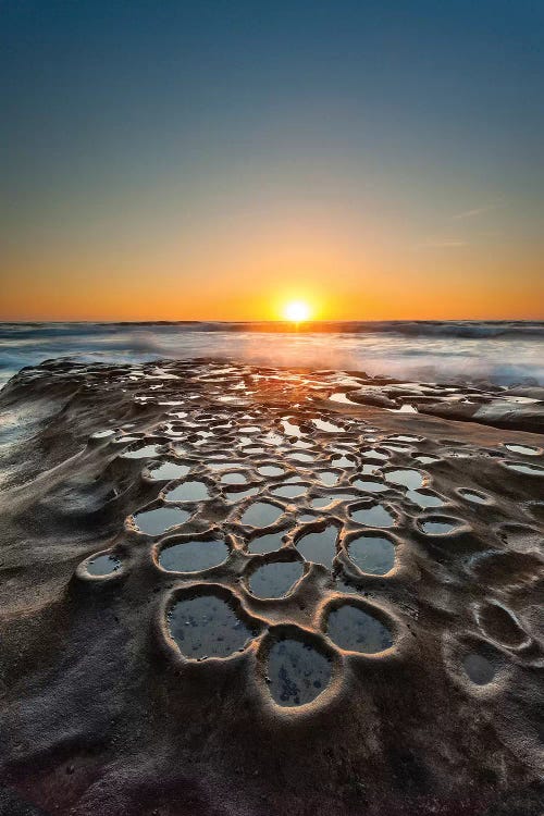 Tide Pools, La Jolla, San Diego, California, USA