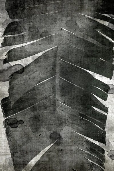 Black & White Florals: Palm Expression I VII by Denise Brown