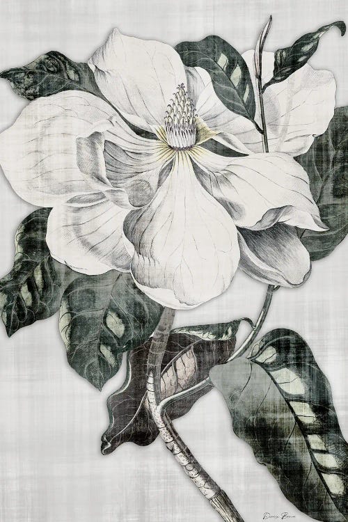 Southern Magnolia I by Denise Brown wall art