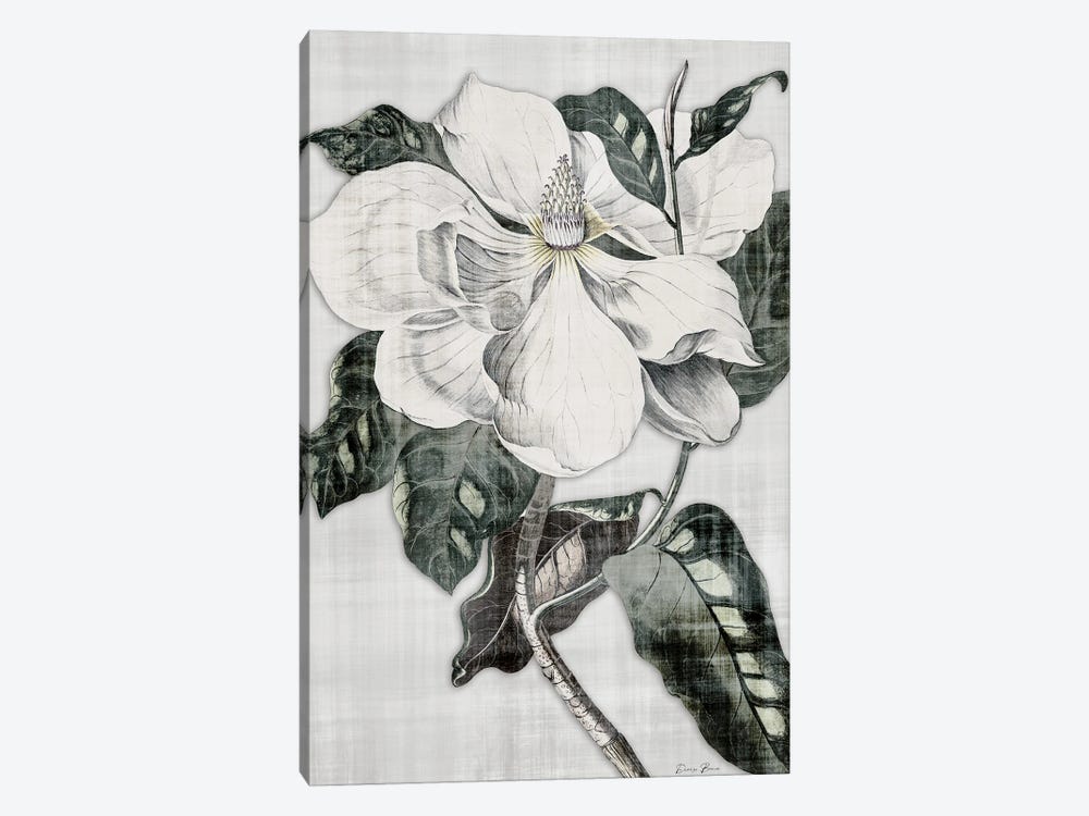 Southern Magnolia I by Denise Brown 1-piece Canvas Print