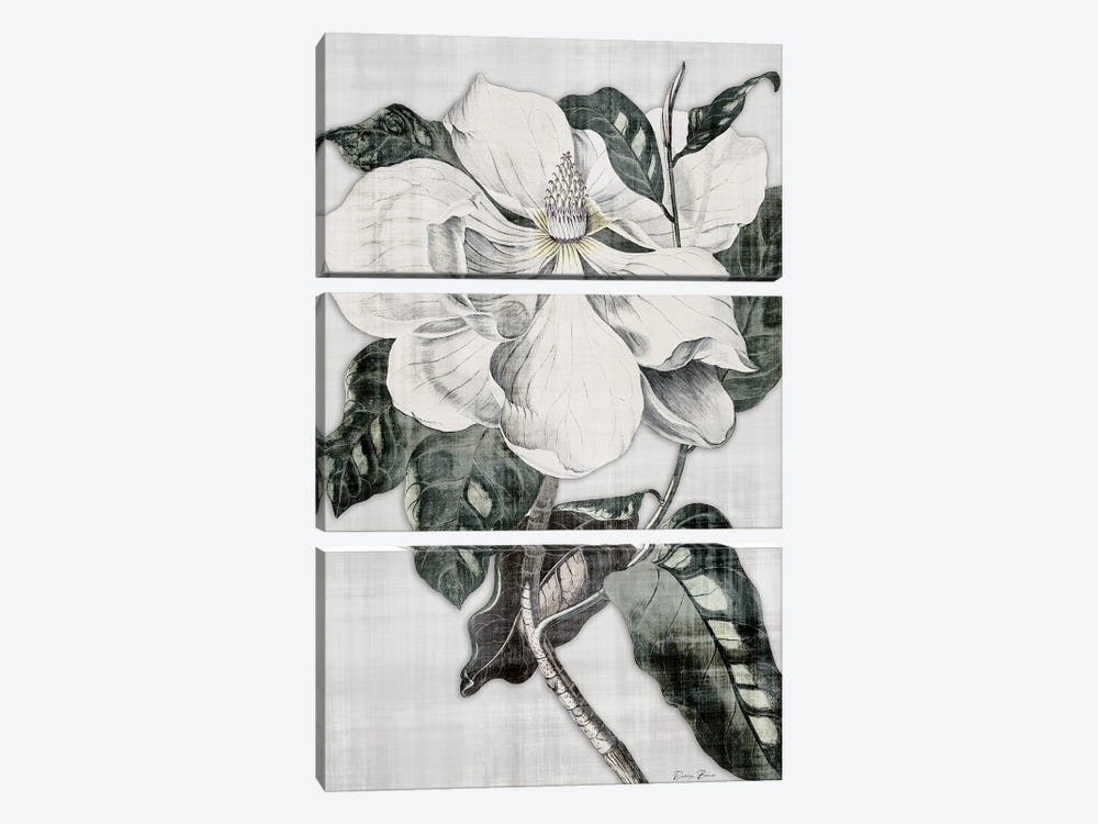 Southern Magnolia I by Denise Brown 3-piece Art Print