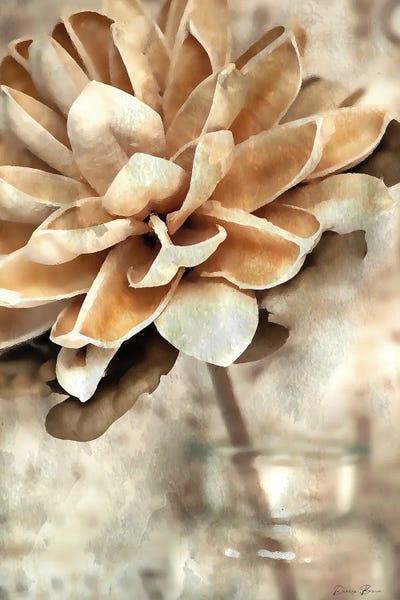 Magnolias: Magnolia II by Denise Brown
