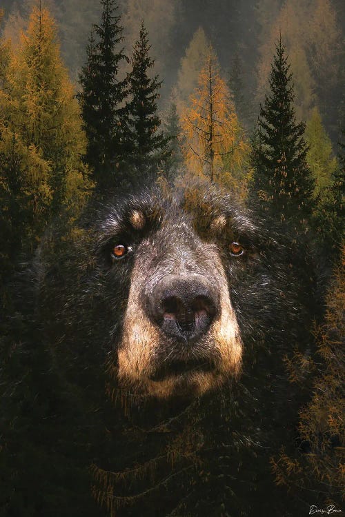 Through The Trees by Denise Brown wall art