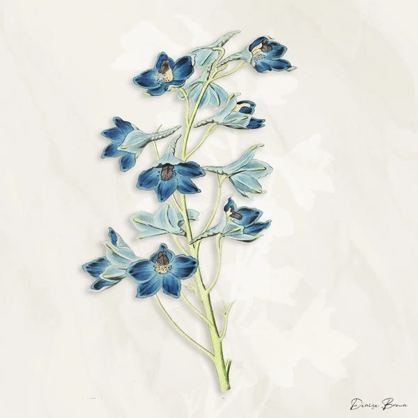 Denise Brown: Blue Botanical III by Denise Brown