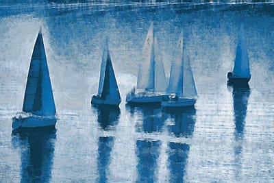 Fleet by Denise Brown framed wall art