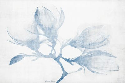 Floral Study by Denise Brown framed wall art