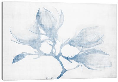 Floral Study Canvas Art Print