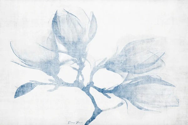 Denise Brown: Floral Study by Denise Brown