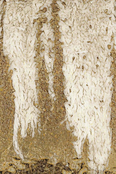 Denise Brown: Flow by Denise Brown