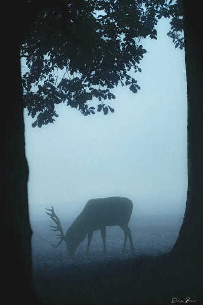 Grazing by Denise Brown framed wall art