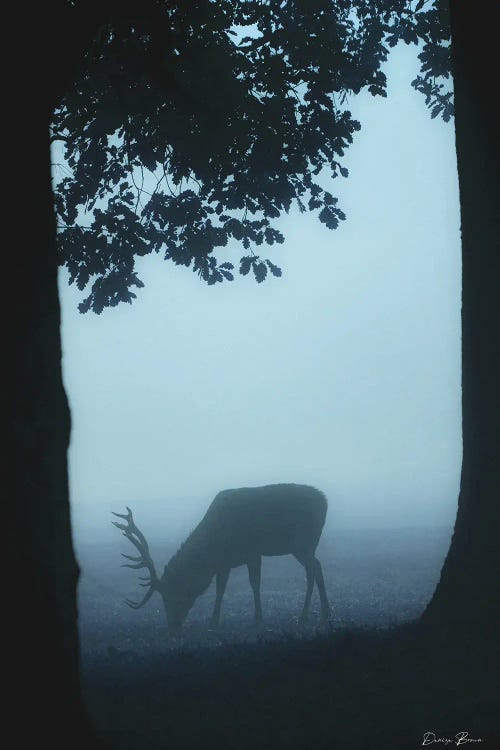 Grazing