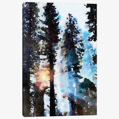 Light Through The Trees Canvas Print #DSB73} by Denise Brown Art Print