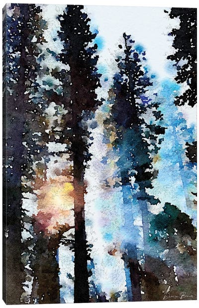 Light Through The Trees Canvas Art Print - Denise Brown