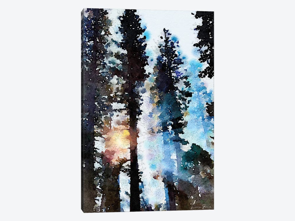 Light Through The Trees by Denise Brown 1-piece Canvas Art