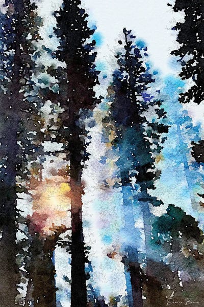 Pine Trees: Light Through The Trees by Denise Brown