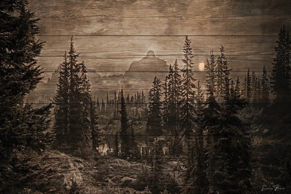 Lakehouse Décor: Lodge View by Denise Brown