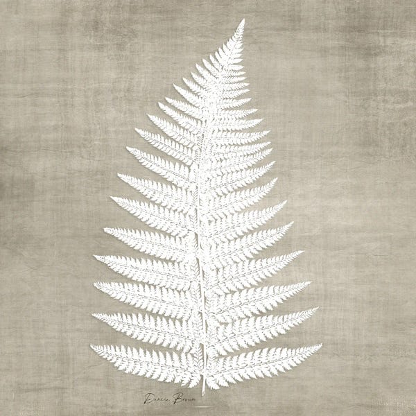 Denise Brown: Natures Fern I by Denise Brown