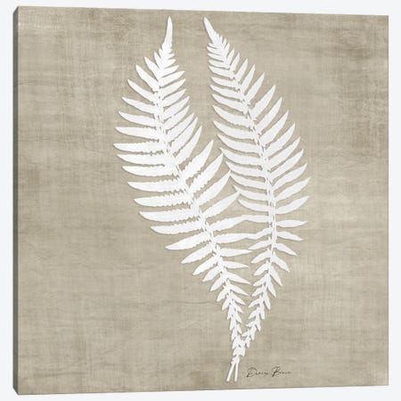 Natures Fern II Canvas Print #DSB84} by Denise Brown Canvas Art Print
