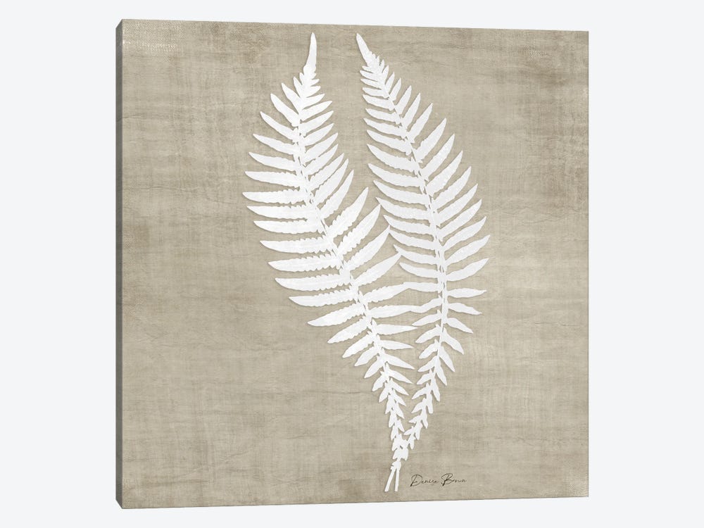 Natures Fern II by Denise Brown 1-piece Canvas Artwork